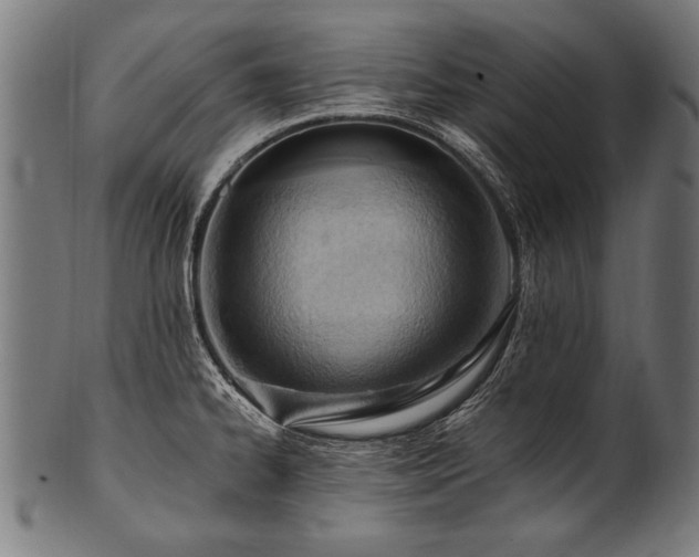 X0000100961334200806241518
