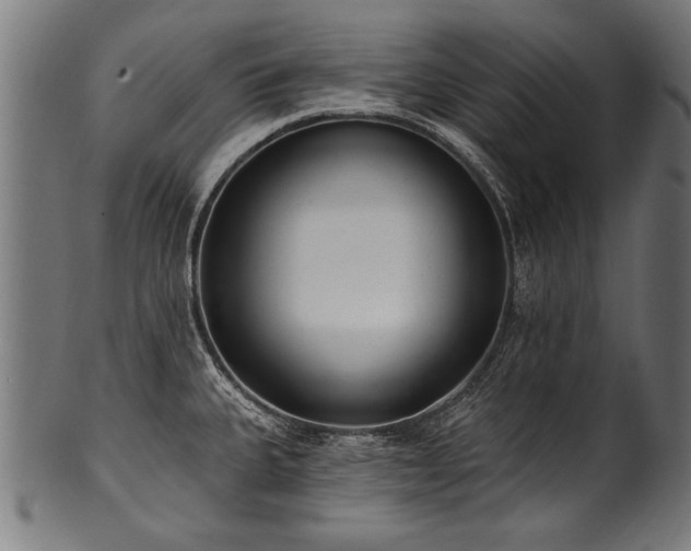 X0000100961335200806241518