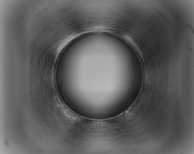 X0000100961336200806241518