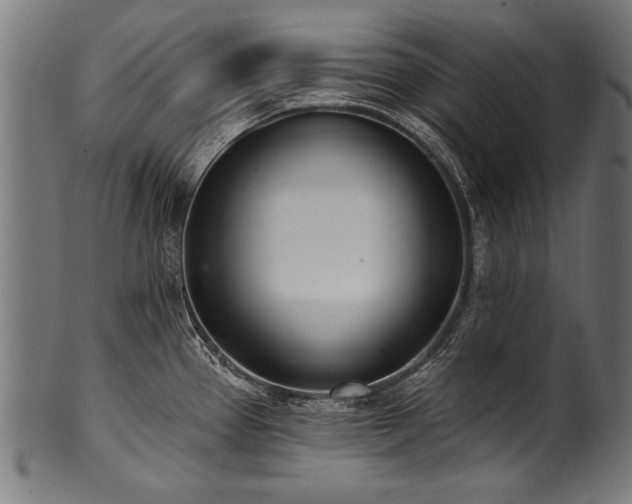 X0000100961337200806241518