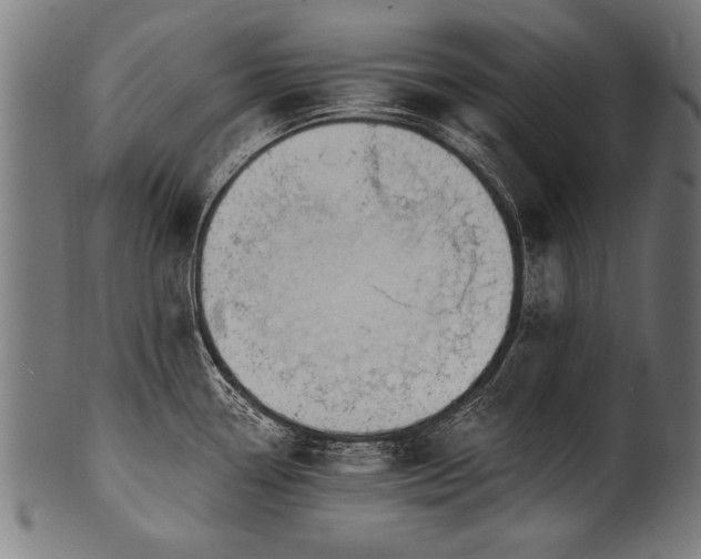 X0000100961338200806241518