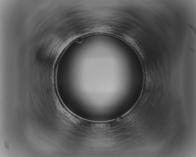 X0000100961339200806241518