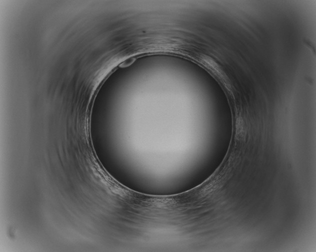 X0000100961340200806241518