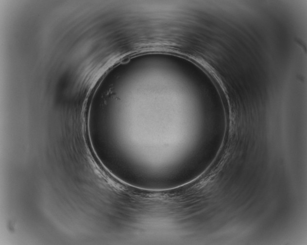 X0000100961341200806241518