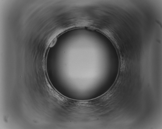 X0000100961342200806241518
