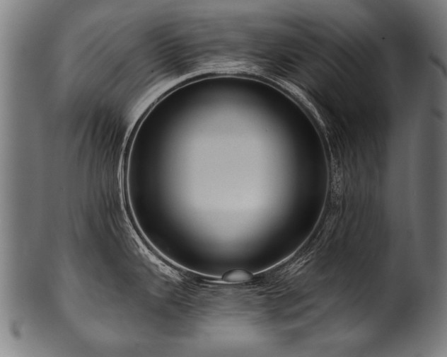 X0000100961343200806241518