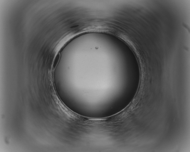 X0000100961344200806241518
