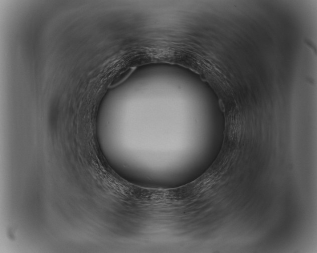 X0000100961345200806241517