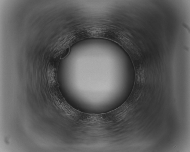 X0000100961346200806241517