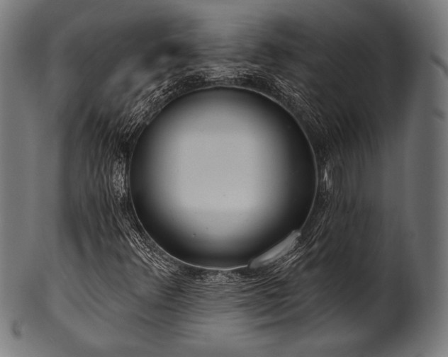 X0000100961348200806241517