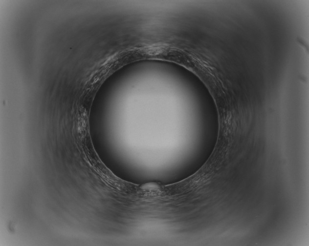 X0000100961349200806241517