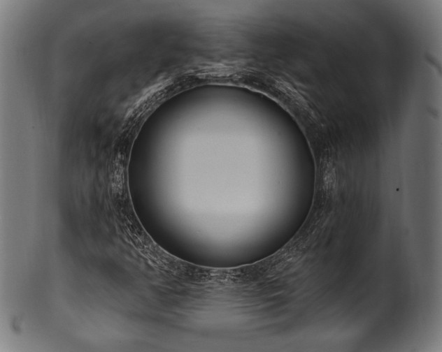 X0000100961350200806241517