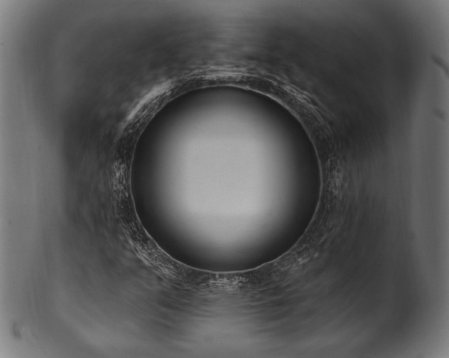X0000100961351200806241517