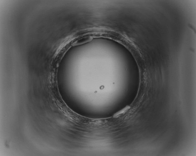 X0000100961352200806241517