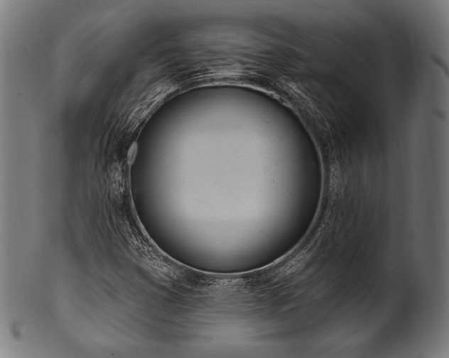 X0000100961353200806241517