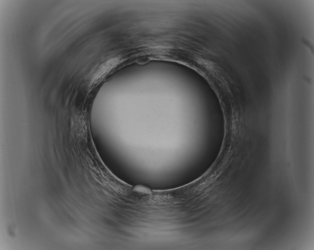X0000100961354200806241517