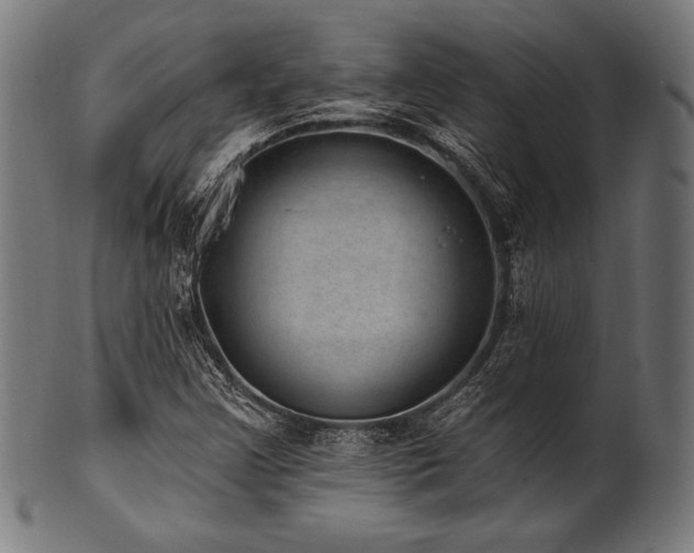 X0000100961355200806241517