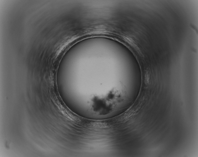 X0000100961356200806241517