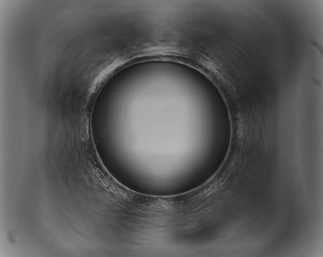 X0000100961358200806241517