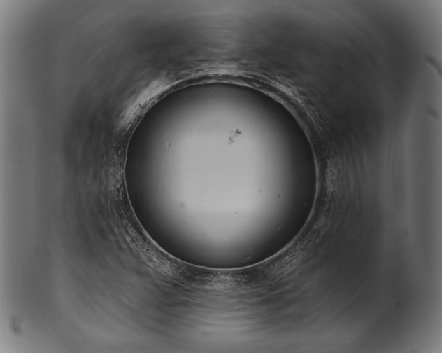 X0000100961359200806241517