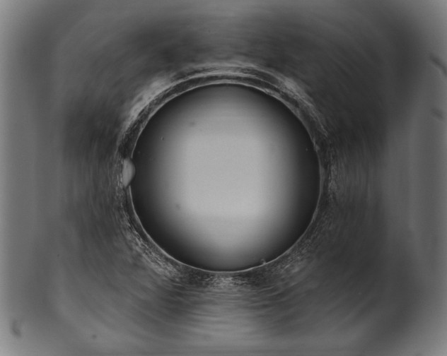 X0000100961360200806241517