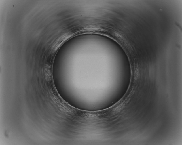 X0000100961361200806241517