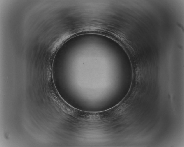 X0000100961363200806241517
