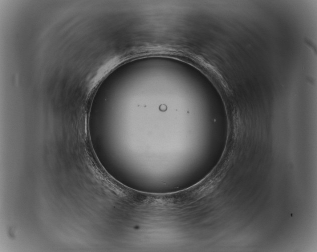 X0000100961365200806241517