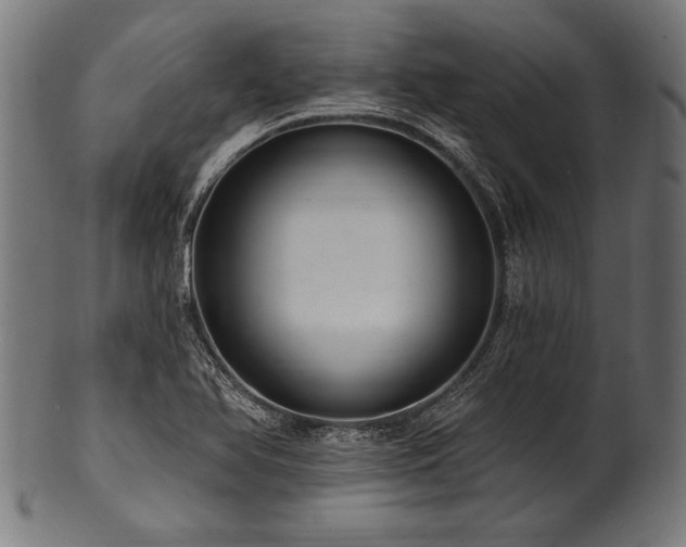 X0000100961366200806241517