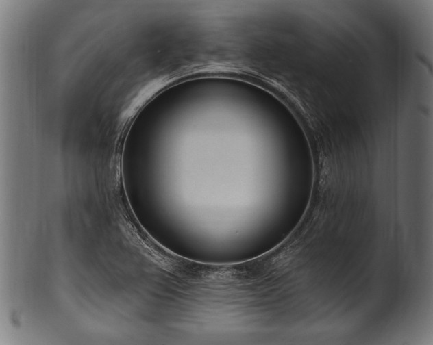 X0000100961367200806241517