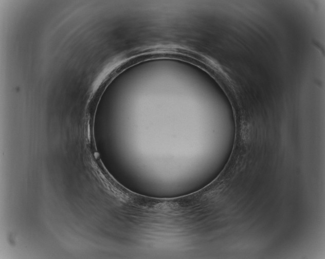 X0000100961368200806241517