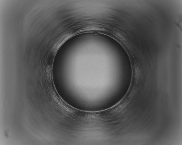 X0000100961369200806241517