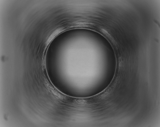 X0000100961370200806241517