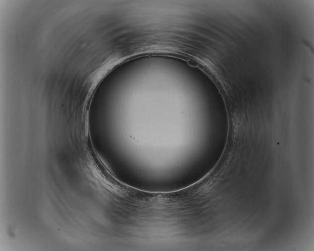 X0000100961371200806241517