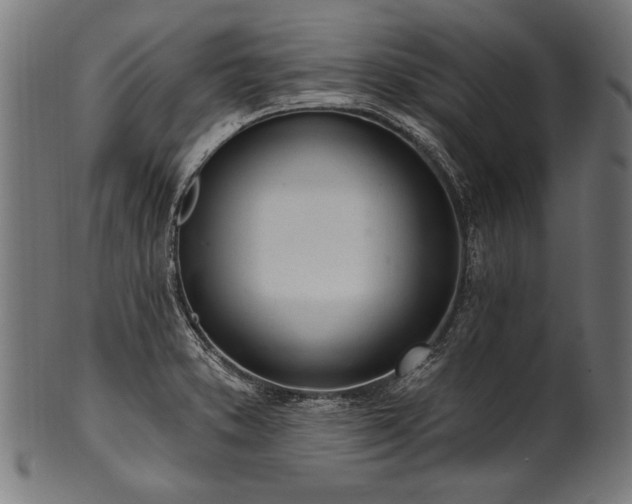 X0000100961373200806241517