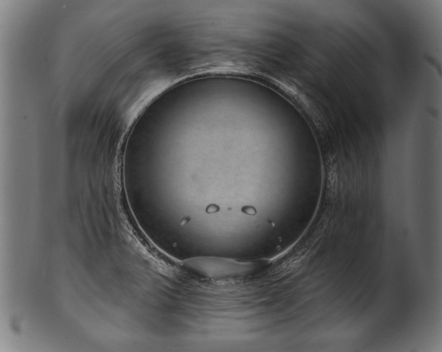X0000100961375200806241517