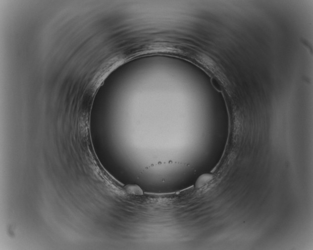 X0000100961377200806241517