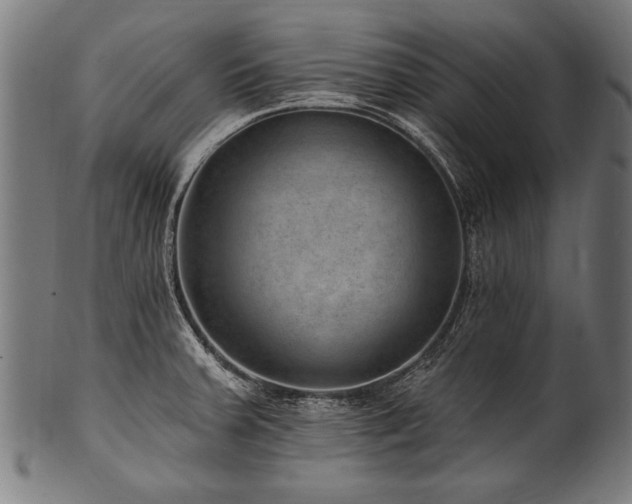 X0000100961379200806241517