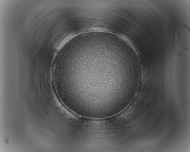 X0000100961381200806241517