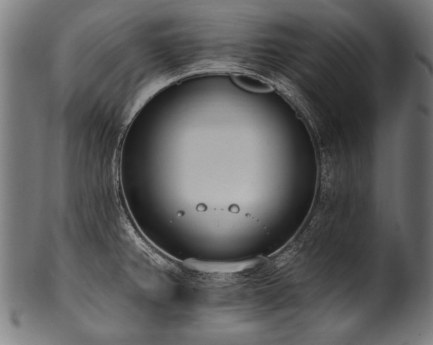 X0000100961382200806241517