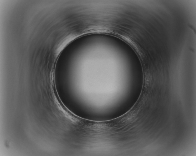 X0000100961383200806241517