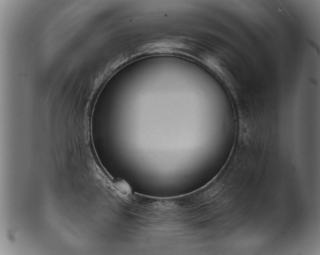 X0000100961384200806241517