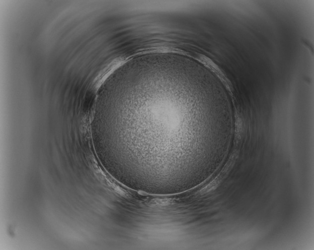 X0000100961385200806241517
