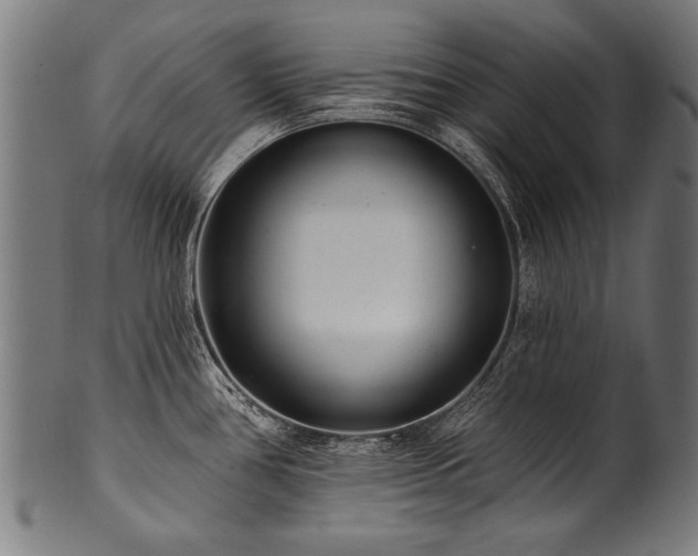 X0000100961386200806241517