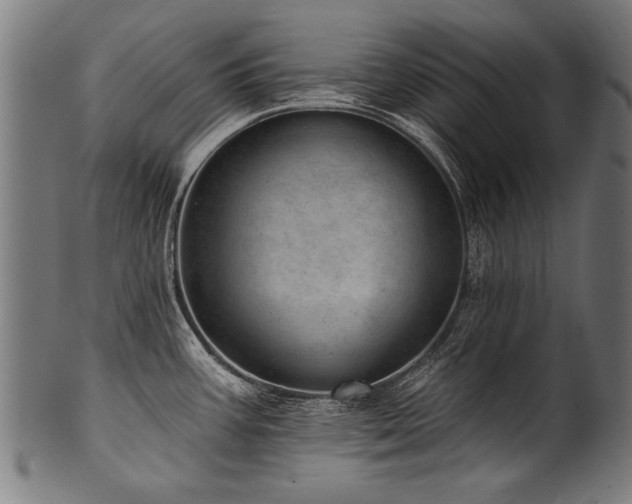X0000100961387200806241517