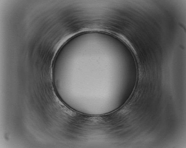 X0000100961388200806241517