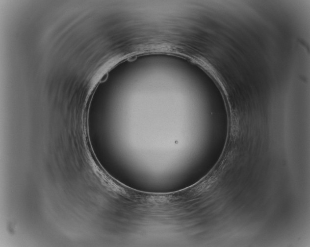 X0000100961389200806241517