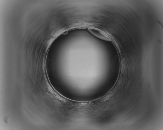 X0000100961390200806241517