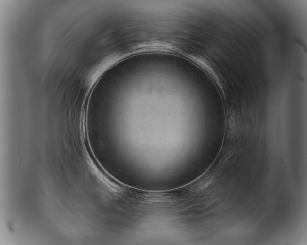 X0000100961391200806241517