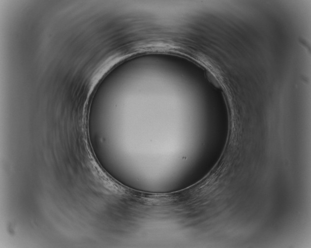 X0000100961392200806241517